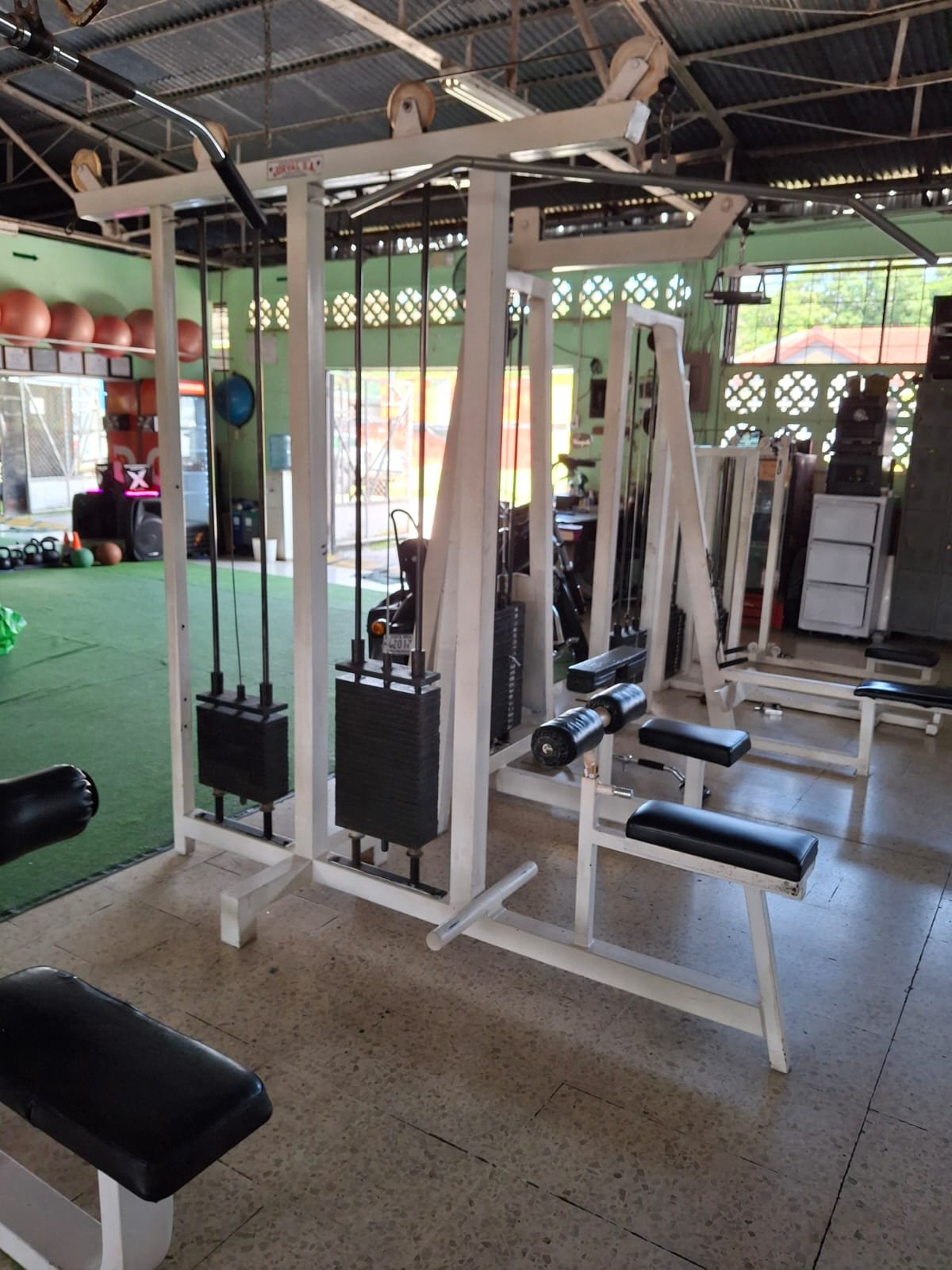 Animal Gym Action